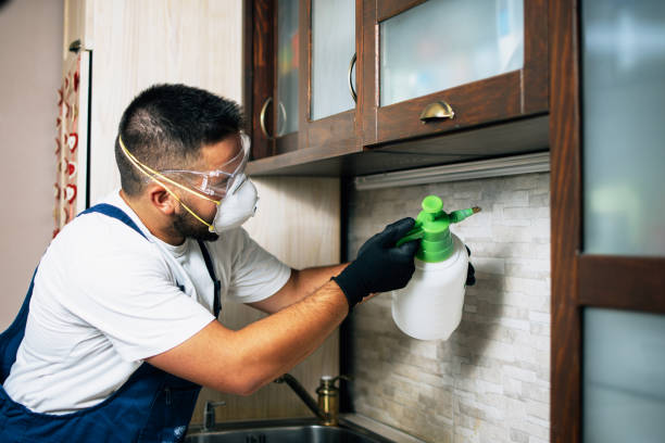 Best Flea Control Services  in Eastwood, LA