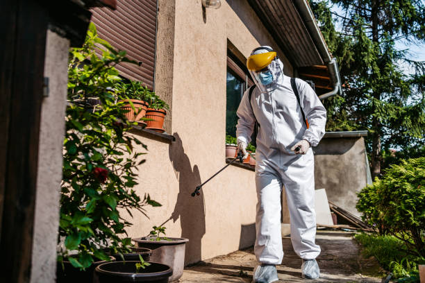 Best Pest Prevention Services  in Eastwood, LA