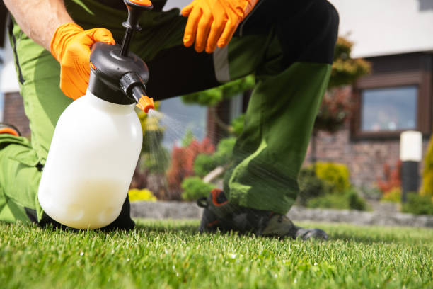 Eastwood, LA Pest Control Company