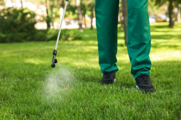 Best Pest Removal Services  in Eastwood, LA