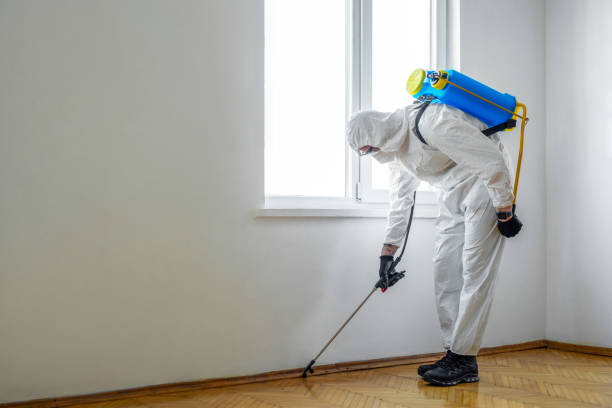Wasp Removal Services in Eastwood, LA