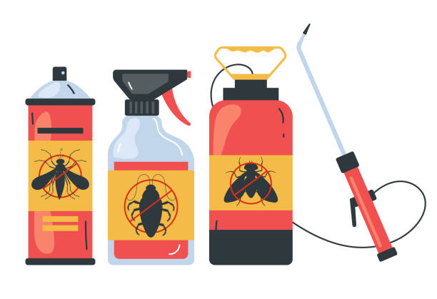 Best Affordable Pest Control Services  in Eastwood, LA