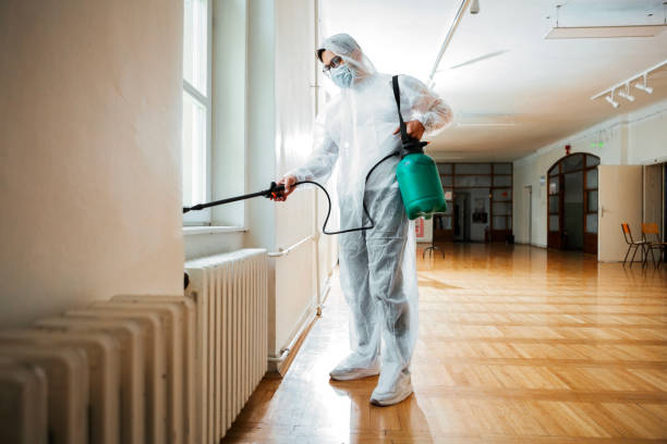 Best Exterminator Services  in Eastwood, LA